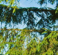 fileadmin/roha/Header-Unterseiten/KKKM-RUH-LOEDS-0003-D-roha.jpg