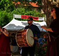 fileadmin/roha/images_galerie/brauchtum/Ritter-Mittelalter/Mittelalterfest-Laufen/BR-MITTELALT-LAUF-2024-1232-D-roha-Brauchtum-Mittelalterfest-Laufen.png