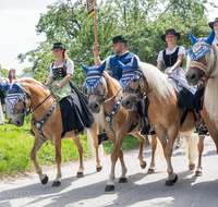 fileadmin/roha/images_galerie/brauchtum/Leonhardiritt/Holzhausen_01/Holzhausen-Ritt-2019/BR-PFRI-HOLZ-2019-1057-11-D-roha-Brauchtum-Pferdeumritt-Leonhardiritt-Holzhausen-Teisendorf-Pferd.png