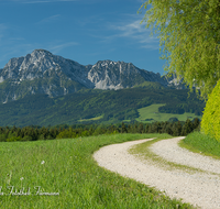 fileadmin/roha/images_galerie/orte_landschaft/Teisendorf/IN-LANDS-Teisendorf/LANDS-TEIS-ARN-0001-D-roha-Landschaft-Teisendorf-Arnolding-Weg-Hochstaufen.png