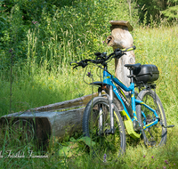 fileadmin/roha/images_galerie/Freizeit-Sport/E-Bike/SPO-E-BIKE-ANG-BR-0001-D-roha-Sport-E-Bike-Anger-Hochboden-Huette-Brunnen.png