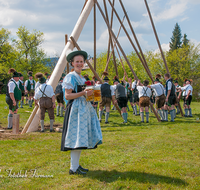 fileadmin/roha/images_galerie/brauchtum/Maibaum/Anger-Hoeglwoerth/BR-MAIB-ANG-2017-1445-02-D-roha-Brauchtum-Maibaum-Anger.png