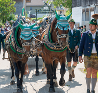 fileadmin/roha/images_galerie/brauchtum/Leonhardiritt/Holzhausen_01/Holzhausen-ritt-2025/BR-PFRI-HOLZ-2025-1038-1-D-roha-Brauchtum-Leonhardiritt-Holzhausen-Teisendorf.png