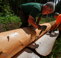 fileadmin/roha/images_galerie/Landwirtschaft/Forst-Holzknecht/HOLZKNE-0005-2025-1116-03-D-roha-Holzknecht-Teisenberg-Baum-Fichte-Schimpern-entrinden.png