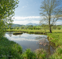 fileadmin/roha/images_galerie/orte_landschaft/Teisendorf/IN-LANDS-Teisendorf/LANDS-TEIS-KUMPF-0004-D-roha-Teisendorf-Landschaft-Kumpfmuehle-Weiher-Vachenlueg-Hochstaufen-Zwiesel.png
