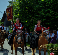 fileadmin/roha/images_galerie/brauchtum/Leonhardiritt/Holzhausen_01/Holzhausen-ritt-2025/BR-PFRI-HOLZ-2025-1005-09-D-H-roha-Brauchtum-Leonhardiritt-Holzhausen-Teisendorf.png