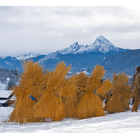 fileadmin/roha/images_galerie/brauchtum/Weihnachten-Buttnmandl/BR-WEIH-BUT-BISCH-0057-D-roha-Brauchtum-Weihnachten-Buttnmandl-Gangerl-Watzmann-Bischofswiesen-Winter.png
