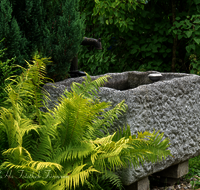 fileadmin/roha/images_galerie/Wasser-Brunnen/LANDA-GART-BRUN-0003-01-D-roha-Landart-Brunnen-Stauden.png
