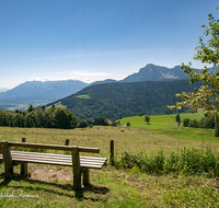 fileadmin/roha/images_galerie/orte_landschaft/Anger/Anger/Anger-Landschaft/LANDS-ANG-NEUH-0023-D-roha-Landschaft-Anger-Neuhaus-Hochstaufen-Zwiesel-Bank-Kuh-Herde.png
