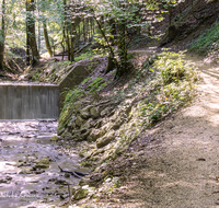 fileadmin/roha/images_galerie/wege/WEGE-WAS-AINR-0001-D-roha-Weg-Wasser-Ainring-Wald-Ulrichshoegl.png