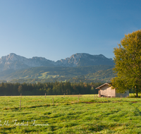 fileadmin/roha/images_galerie/orte_landschaft/Teisendorf/IN-LANDS-Teisendorf/LANDS-TEIS-HOCHST-0031-D-roha-Landschaft-Teisendorf-Punschern-Stadel-Hochstaufen-Zwiesel.png