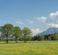 fileadmin/roha/images_galerie/orte_landschaft/Saaldorf/LANDS-SAAL-SILL-0004-2-D-roha-Landschaft-Saaldorf-Sillersdorf-Untersberg.jpg