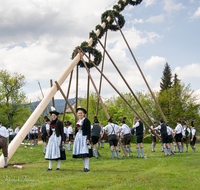 fileadmin/roha/images_galerie/brauchtum/Maibaum/Anger-Hoeglwoerth/BR-MAIB-ANG-2017-1435-01-D-roha-Brauchtum-Maibaum-Anger-Aufstellen.png