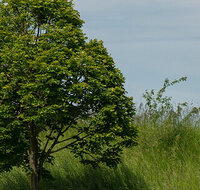 fileadmin/roha/Header-Unterseiten/KKKM-LAUF-FRO-0006-D-roha.jpg