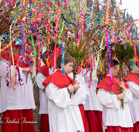fileadmin/roha/images_galerie/brauchtum/Ostern/BR-OST-PALM-WEIH-RA-0729-01-D-roha-Brauchtum-Ostern-Palmsonntag-Palmweihe-Ministranten-Ramsau.png