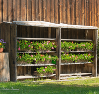 fileadmin/roha/images_galerie/Baum-natur-garten/Haus-Blumenschmuck-Deko/LANDA-BLUMENSCHM-0023-0-1-roha-Landart-Blumenschmuck-Regal-Bauernhaus.png