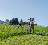fileadmin/roha/images_galerie/Landwirtschaft/LANDW-HAND-SENS-NEUK-1-1112-2-D-roha-Landwirtschaft-Sense-Neukirchen.jpg