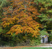 fileadmin/roha/images_galerie/kirche_religion/Teisendorf/KKKM-TEIS-BR-KL-0025-D-roha-Kapelle-Bruder-Klaus-Teisendorf-Wald-Herbst.png