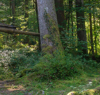 fileadmin/roha/Header-Unterseiten/KKKM-GROSSG-BRUCHH-0010-D-roha.jpg