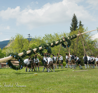 fileadmin/roha/images_galerie/brauchtum/Maibaum/Anger-Hoeglwoerth/BR-MAIB-ANG-2017-1355-01-D-roha-Brauchtum-Maibaum-Anger.png