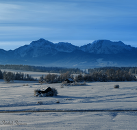 fileadmin/roha/images_galerie/orte_landschaft/Haarmoos/HAARM-WI-0044-D-roha-Haarmoos-Hochstaufen-Winter-Panorama.png