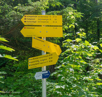 fileadmin/roha/images_galerie/wege/WEGE-BAD-REI-PRED-0001-D-roha-Wege-Bad-Reichenhall-Predigtstuhl.jpg
