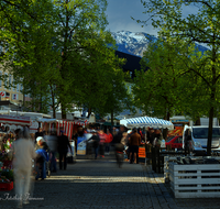 fileadmin/roha/images_galerie/orte_landschaft/Freilassing/FREIL-FUSSG-MARKT-1-4811-D-H-roha-Freilassing-Wochenmarkt.png