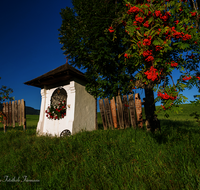 fileadmin/roha/images_galerie/kirche_religion/Teisendorf/Freidling-Berg-Stoisseralm/KKKM-TEIS-BERG-FR-0090-D-roha-Kapelle-Totenbretter-Teisendorf-Freidling.png