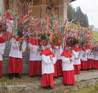 fileadmin/roha/images_galerie/brauchtum/Ostern/BR-OST-PALM-WEIH-RA-0728-02-D-roha-Brauchtum-Ostern-Palmsonntag-Palmweihe-Ministranten-Ramsau.png
