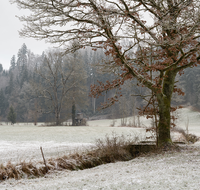 fileadmin/roha/images_galerie/orte_landschaft/Anger/Anger/Anger-Landschaft/LANDS-ANG-RAMS-6-5951-D-roha-Landschaft-Anger-Ramsau-Winter.png