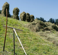 fileadmin/roha/images_galerie/Landwirtschaft/LANDW-HEU-HIEF-1-1148-2-D-roha-Landwirtschaft-Heu-Ernte-Hiefel-Neukirchen.jpg