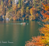 fileadmin/roha/images_galerie/orte_landschaft/Berchtesgaden/Koenigssee/BGD-KOE-ALMAB-0006-D-roha-Berchtesgaden-Koenigsee-Almabtrieb-Herbst-Malerwinkel.png
