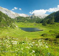 fileadmin/roha/images_galerie/orte_landschaft/Berchtesgaden/Nationalpark_Klausbachtal_Wimbachtal_-Klamm/BGD-NAT-FUNT-0004-04-D-roha-Berchtesgaden-Nationalpark-Funtensee-Schottmalhorn.png