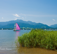 fileadmin/roha/images_galerie/orte_landschaft/Chiemsee/CHIE-SEG-HERR-0020-D-roha-Chiemsee-Segeln-Herreninsel-Kampenwand.png