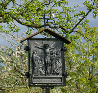 fileadmin/roha/images_galerie/kirche_religion/Ainring-Kreuzweg/KKKM-AINR-KR-12-0050-D-roha-Kreuzweg-Ainring-Ulrichshoegl-Apfel-Baum.png
