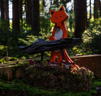 fileadmin/roha/images_galerie/Hintergrund-Download/1600x1200/LANDA-KUNST-WALD-0001-D-roha-Landart-Kunst-Wald-Fuchs.png
