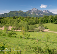 fileadmin/roha/images_galerie/orte_landschaft/Piding/PID-JOH-BIEN-0007-D-roha-Piding-Johannishoegl-Fuderheuberg-Hochstaufen-Zwiesel-Bienenweg.png