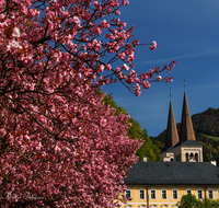 fileadmin/roha/images_galerie/orte_landschaft/Berchtesgaden/Markt-Berchtesgaden/BGD-MARKT-KURG-1-5911-D-roha-Berchtesgaden-Kurgarten-Kirschbluete.png