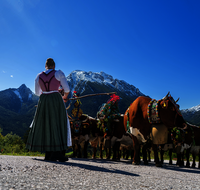 fileadmin/roha/images_galerie/brauchtum/Almabtrieb/Almabtrieb-Ramsau-Mordau/BR-ALMAB-BGD-RA-HINT-01-1235-0-01-D-roha-Brauchtum-Almabtrieb-Ramsau-Hochschwarzeck.png