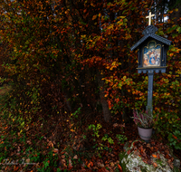 fileadmin/roha/images_galerie/kirche_religion/Tei-Wei-Rosenkranzweg/KKKM-TEI-WEI-ROS-13-0009-D-roha-Wegkreuz-Rosenkranz-Station-Teisendorf-Weildorf.png