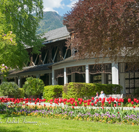 fileadmin/roha/images_galerie/orte_landschaft/Bad-Reich-Kurgarten-Beleuchtung/BAD-REI-KURGAR-0015-01-D-roha-Bad-Reichenhall-Kurgarten-Gradierwerk-Brunnnen-Tulpen.png