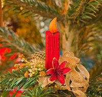 fileadmin/roha/images_galerie/brauchtum/Weihnachten/BR-WEIH-SCHMUCK-0006-1-D-roha-Brauchtum-Weihnachten-Christbaum-Kerze-Tannenbaum.png