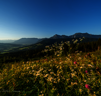 fileadmin/roha/images_galerie/orte_landschaft/Anger/Anger/Anger-Landschaft/LANDS-ANG-TEISB-0002-01-1-D-roha-Landschaft-Anger-Teisenberg-Hochstaufen-Zwiesel.png
