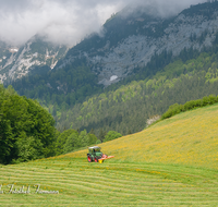 fileadmin/roha/images_galerie/Landwirtschaft/LANDW-MASCH-MAEH-RA-0001-D-roha-Landwirtschaft-Ramsau-Berchtesgaden-Reiter-Alpe-Scheffaulehen-Traktor-Maehen.png