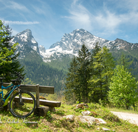fileadmin/roha/images_galerie/Freizeit-Sport/E-Bike/SPO-E-BIKE-WATZ-0002-D-roha-Sport-E-Bike-Watzmann-Bank-Schoenau-Kuehroint.png
