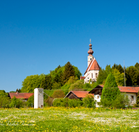 fileadmin/roha/images_galerie/orte_landschaft/Waging/WAG-BURG-0002-D-roha-Waging-Burg-Kirche-Fruehling-Blumenwiese.png
