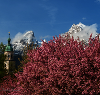 fileadmin/roha/images_galerie/orte_landschaft/Berchtesgaden/Markt-Berchtesgaden/BGD-MARKT-KURP-1-5818-D-roha-Berchtesgaden-Kurgarten-Kirschbluete.png