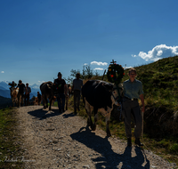 fileadmin/roha/images_galerie/brauchtum/Almabtrieb/Almabtrieb-Stoisser-Alm/BR-ALMAB-STOISS-2024-8089-D-roha-Almabtrieb-Stoisseralm-Teisendorf-Anger.png