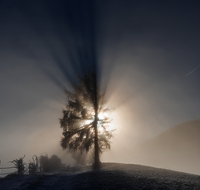 fileadmin/roha/Lieblingsbilder-making/STIM-ANG-FUERM-WI-0020-D-roha-Stimmung-Anger-Sonne-Winter-Fuermannalm.png