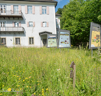 fileadmin/roha/images_galerie/orte_landschaft/Teisendorf/IN-Achthal/TEI-ACHT-0016-0-30-4-D-roha-Teisendorf-Achthal-Museum-Bienenhotel.png